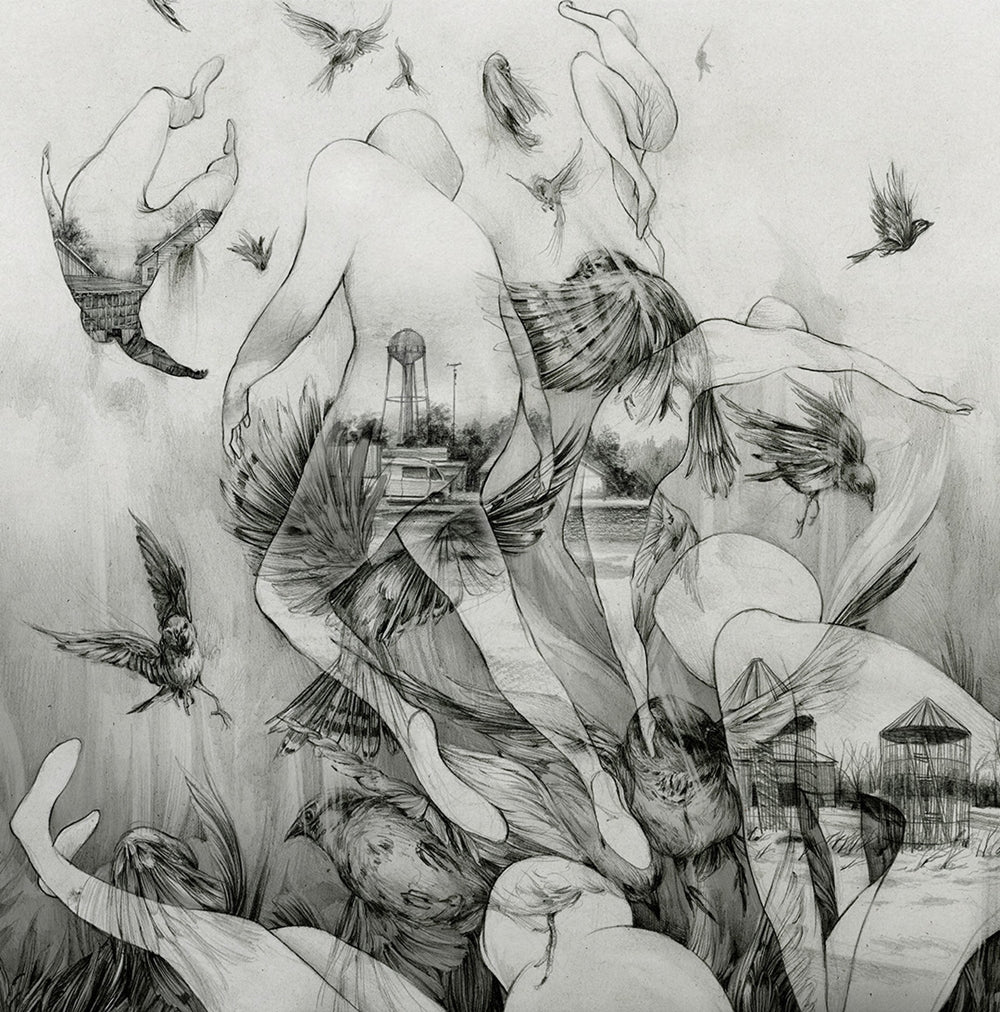 Mono - The Last Dawn - Metal - CDD