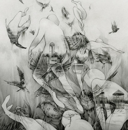 Mono - The Last Dawn - Metal - CDD