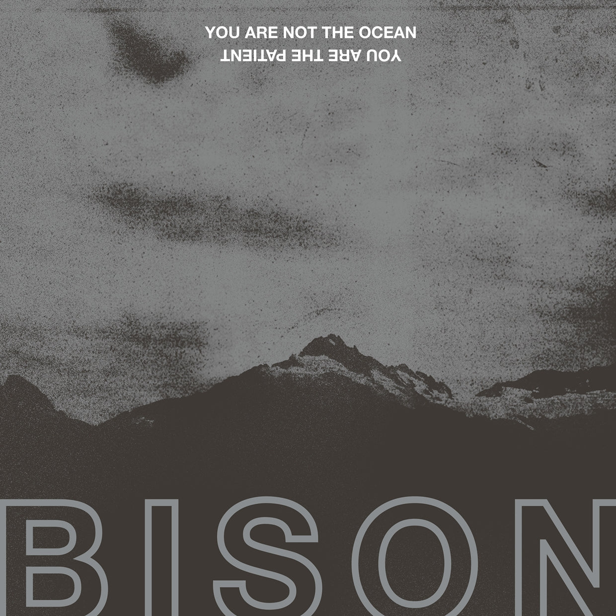 Bison - You Are Not The Ocean You Are The Patient - Stoner Metal/Rock - CD