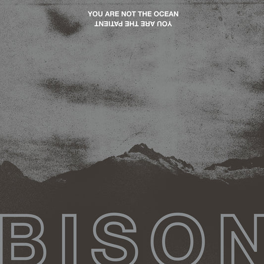 Bison - You Are Not The Ocean You Are The Patient - Stoner Metal/Rock - CD