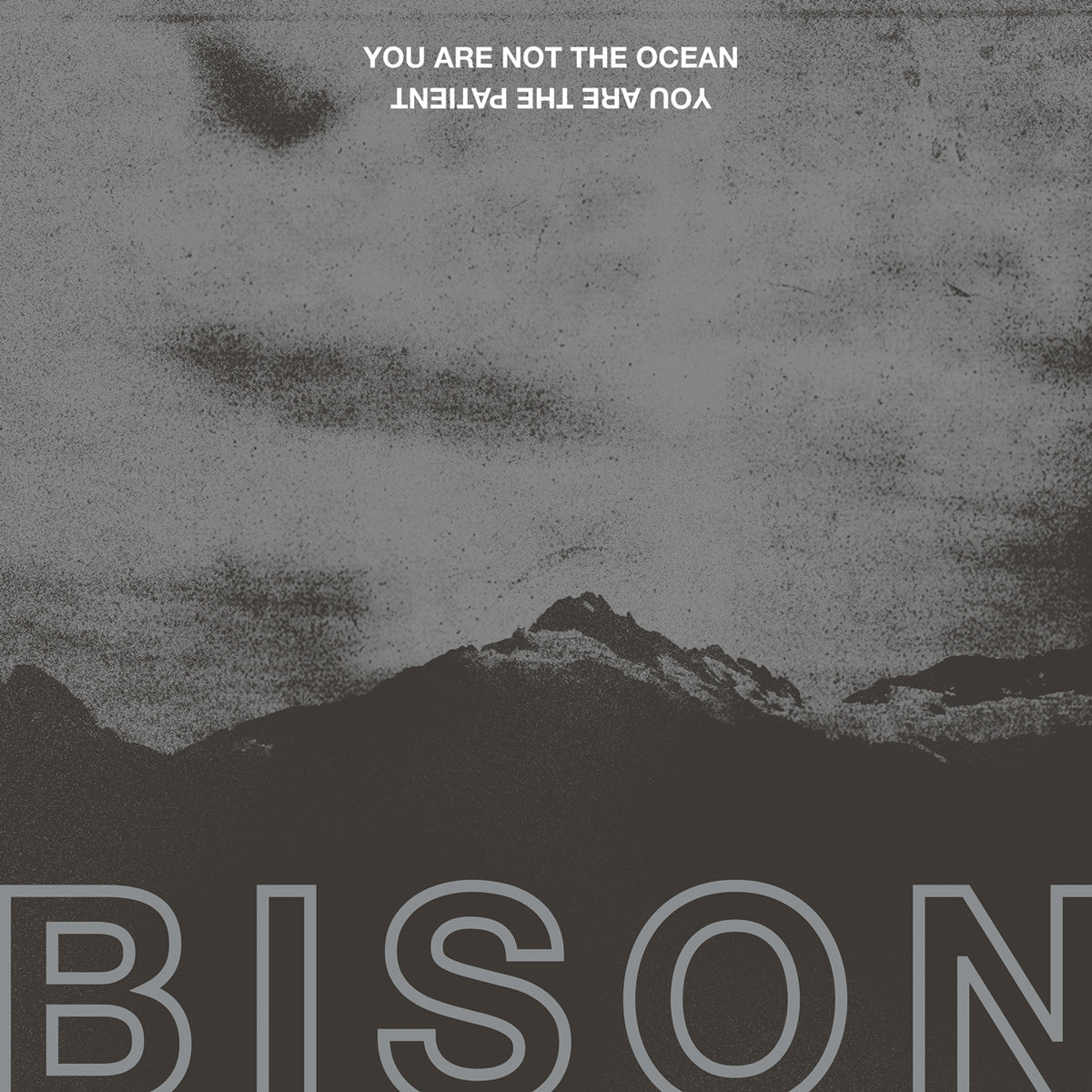 Bison - You Are Not The Ocean You Are The Patient - Stoner Metal/Rock - Music CD