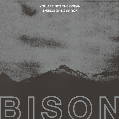 Bison - You Are Not The Ocean You Are The Patient - Stoner Metal/Rock - Music CD