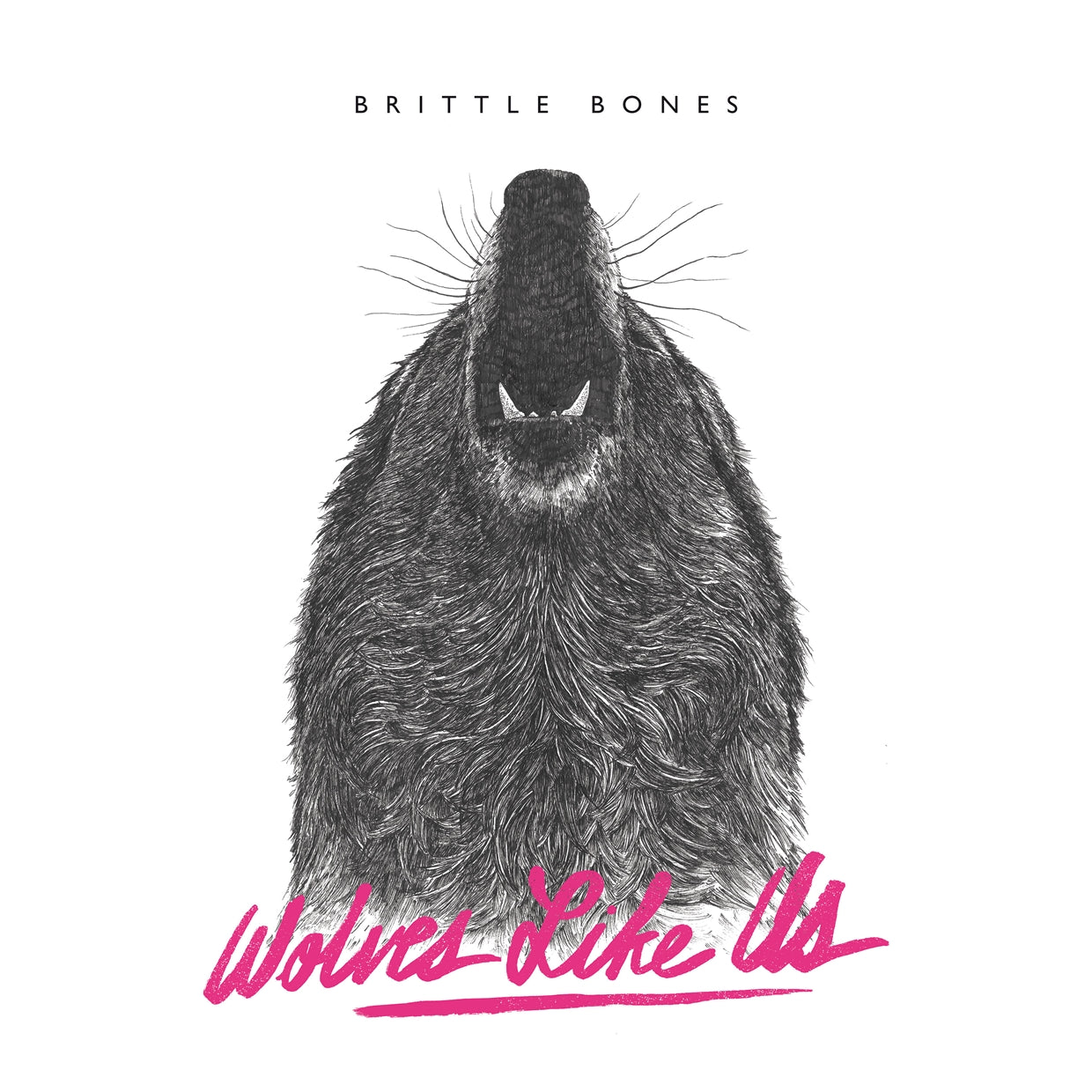 Wolves Like Us - Brittle Bones - Punk - CD