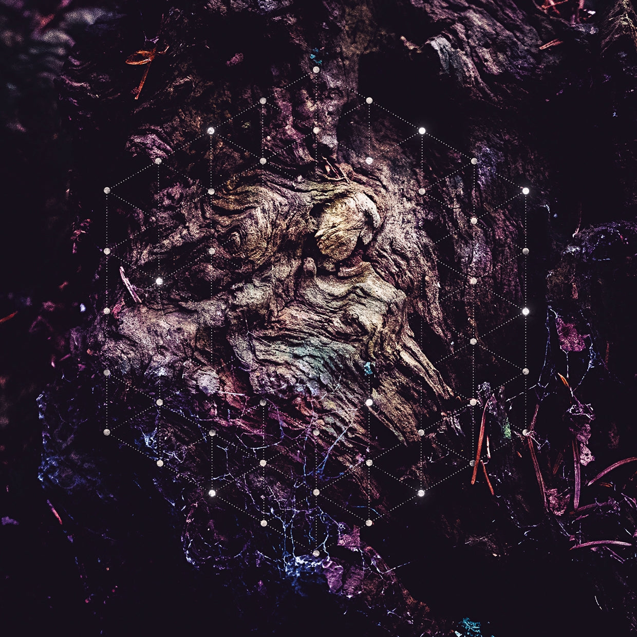 Psychonaut - Unfold The God Man - Metal - CD