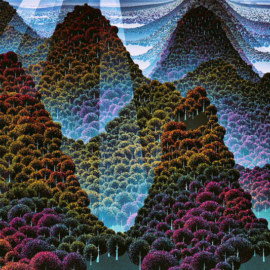 Wang Wen - 100,000 Whys - Rock - DLP