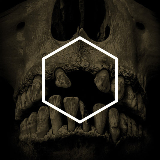 Lustmord & Various Artists - The Others (Lustmord Deconstructed) (The Below Edition) - Dark Ambient - 3LP