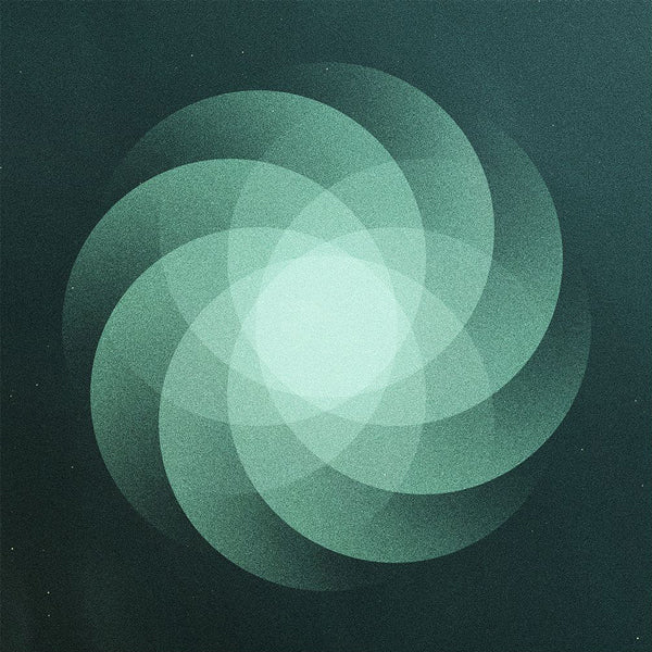 Som - The Shape Of Everything - Indie - LP