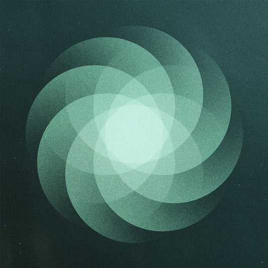 Som - The Shape Of Everything - Indie - LP