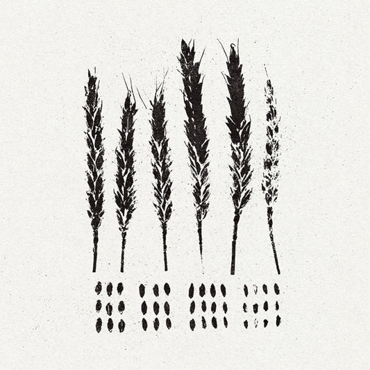 Lo! - The Gleaners - Metal - CD