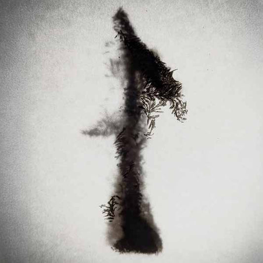 Vlmv - There Will Come Soft Rains - Rock - LP