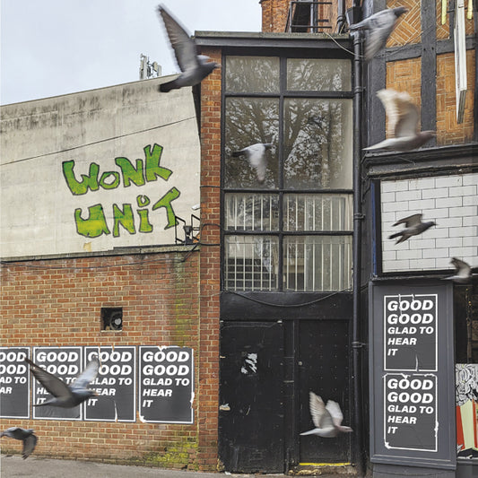 Wonk Unit - Good Good Glad To Hear It - Punk - CD