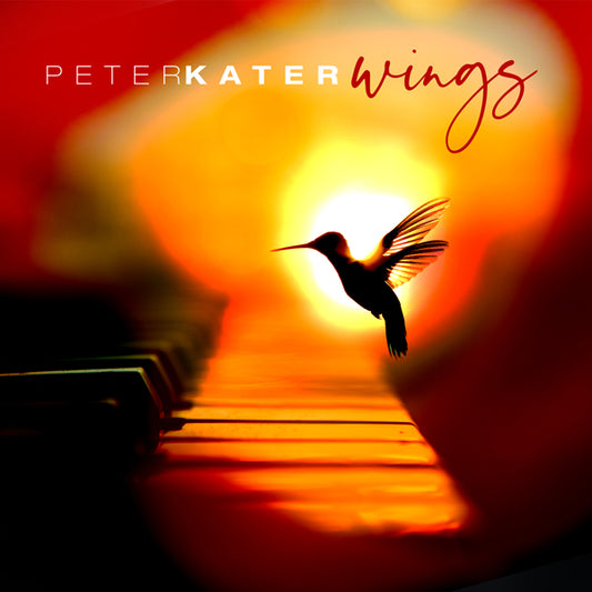 Peter Kater - Wings - Electronic - CD