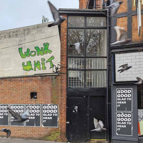 Wonk Unit - Good Good Glad To Hear It - Punk - LP