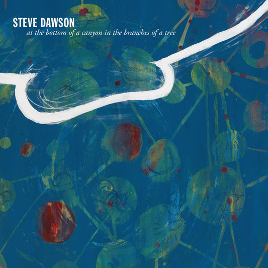 Steve Dawson - At The Bottom Of A Canyon In The Branches Of A Tree - Country/Folk - LP