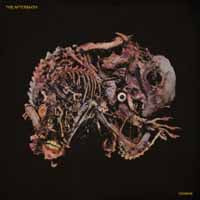 Aftermath - Vermine - Metal - CD