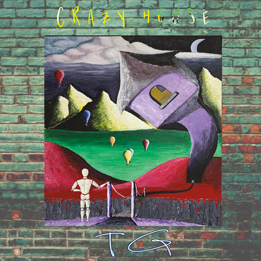Turning Ground - Crazy House - Country/Folk - CD