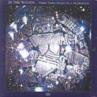 In The Woods - Three Times Seven On A... - Black Metal - CD