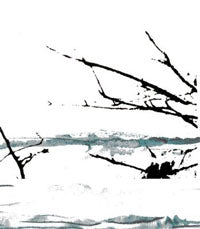 Tenhi - Vare (Re-Release) - Folk/Pagan Metal - CDD