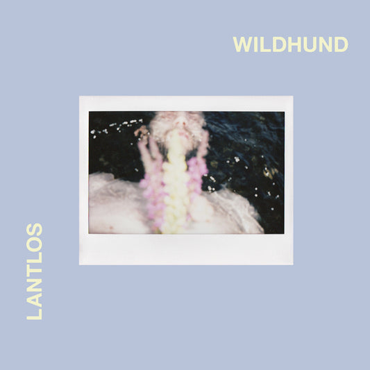Lantlos - Wildhund - Black Metal - CDD