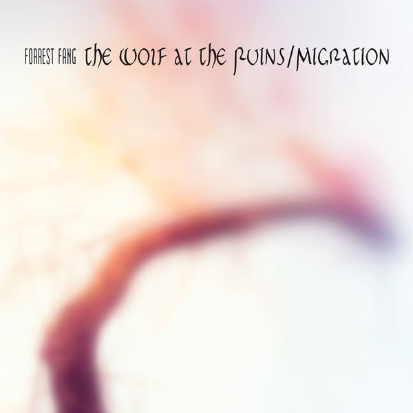 Forrest Fang - The Wolf At The Ruins / Migration (2Cd) - Electronic - DCD
