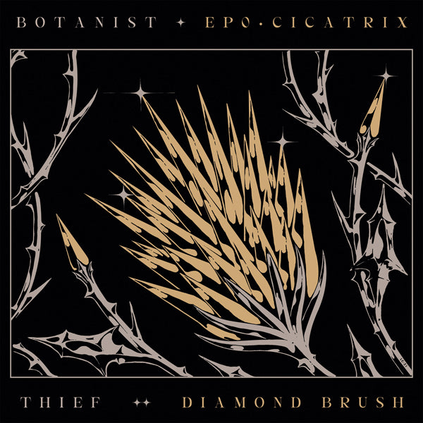Botanist / Thief - Cicatrix / Diamond Brush - Black Metal - CD