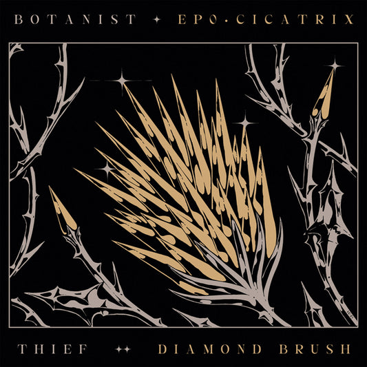 Botanist / Thief - Cicatrix / Diamond Brush - Black Metal - CD