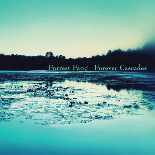 Forrest Fang - Forever Cascades - Electronic - CD