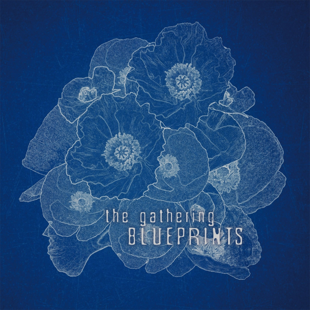 Gathering, The - Blueprints - Rock - DCD