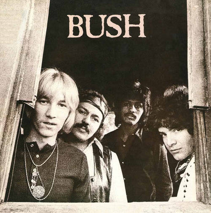 Bush - Bush - Rock - CD