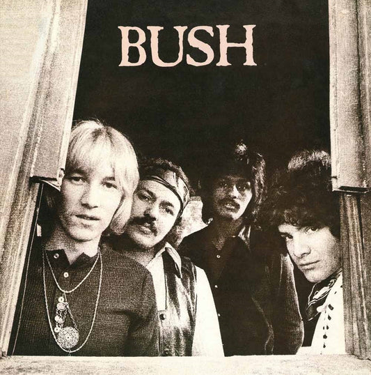 Bush - Bush - Rock - CD