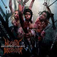 Necrotic Disgorgement - Documentaries Of Dementia - Death Metal - CD