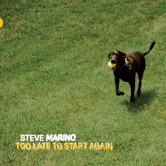 Steve Marino - Too Late To Start Again - Indie - LP