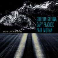 Gordon Grdina, Gary Peacock & Paul Motian - Think Like The Waves (Sacd) - Jazz - CD