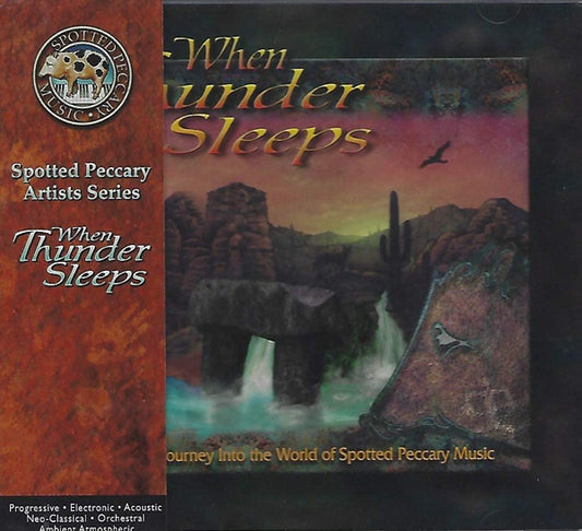 Various Artists - When Thunder Sleeps - Electronic - CD