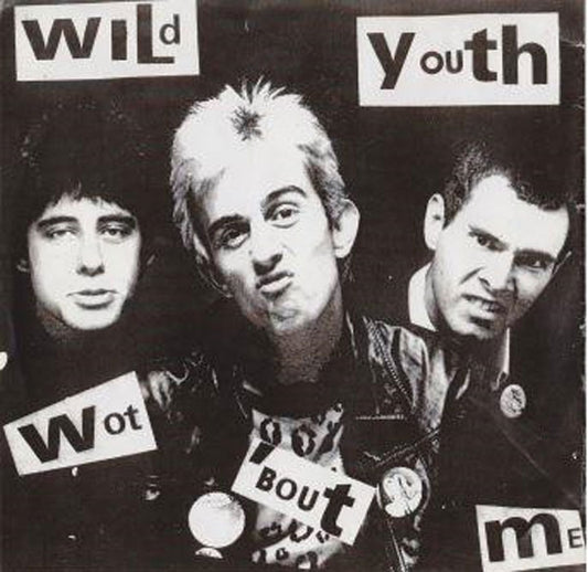 Wild Youth - Wot 'Bout Me / Anti You - Punk - 7
