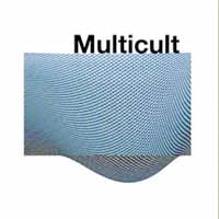 Multicult - Jaws/Luxury - Rock - 7