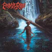 Primal Rite - Dirge Of Escapism (Red Vinyl) - Hardcore - LP