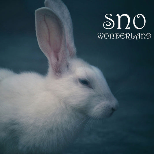 Sno - Wonderland - Hip-Hop/Rap - CD