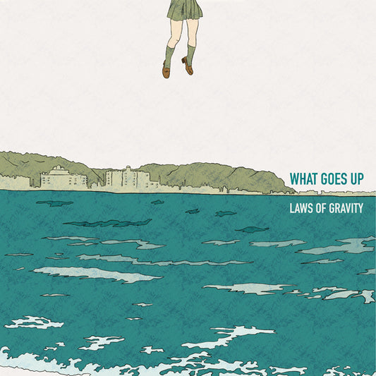 What Goes Up - Laws Of Gravity - Punk - LP