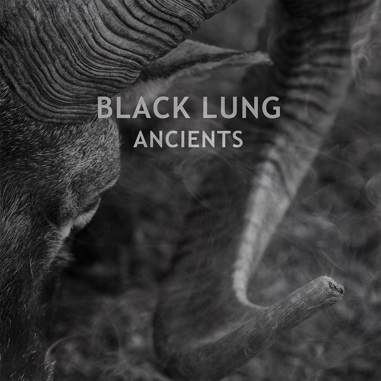 Black Lung - Ancients - Stoner Metal/Rock - CD