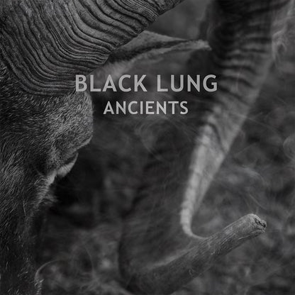 Black Lung - Ancients - Stoner Metal/Rock - LP