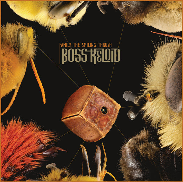 Boss Keloid - Family The Smiling Thrush - Metal - LP