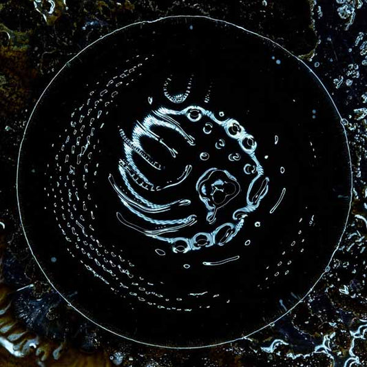 Stonus - Stonus - Metal - LP