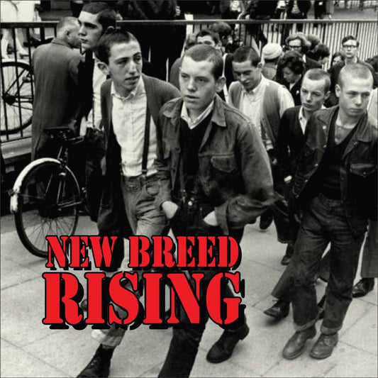 Various Artists - New Breed Rising - Punk - CD