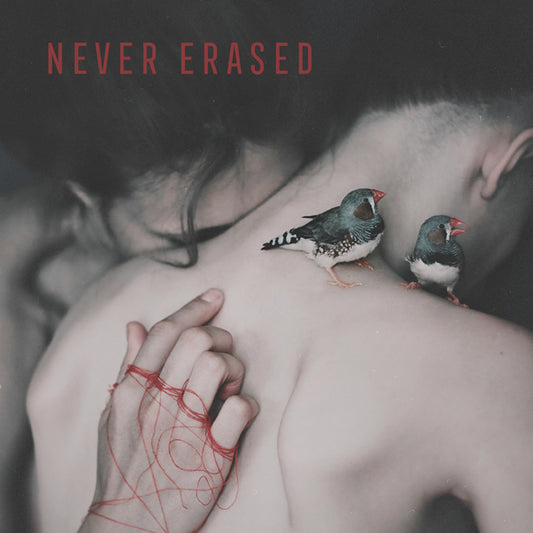 Various Artists - Never Erased - Punk - LP