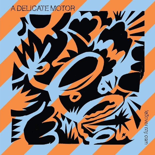 A Delicate Motor - Fellover My Own - Classical - LP