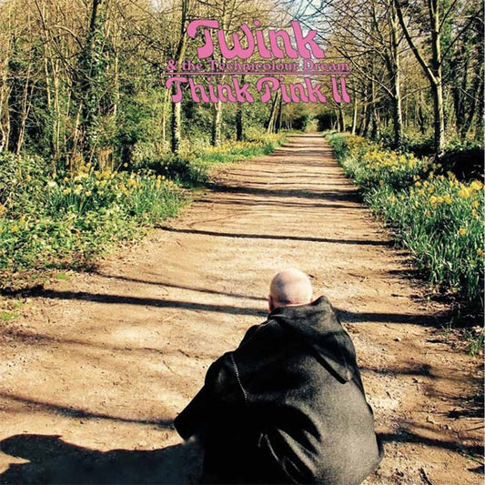 Twink - Think Pink Ii - Rock - CD