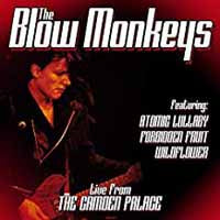 Blow Monkeys, The - Live From London - Pop - CD
