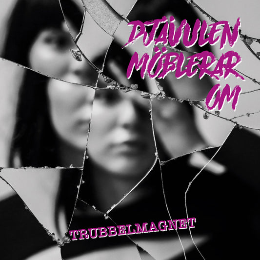 Djävulen Möblerar Om - Trubbelmagnet - Rock - LP