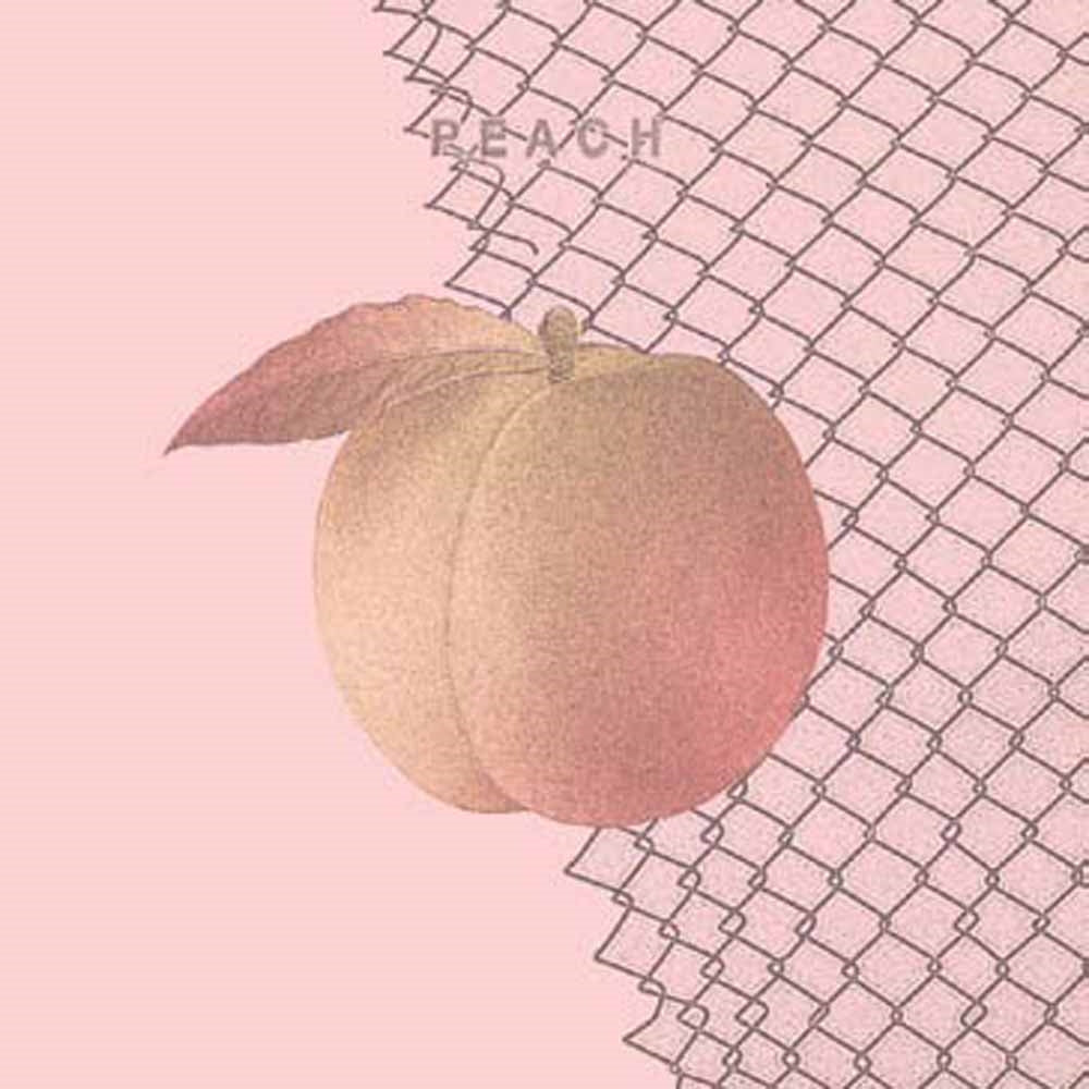 Culture Abuse - Peach - Rock/Pop - MC